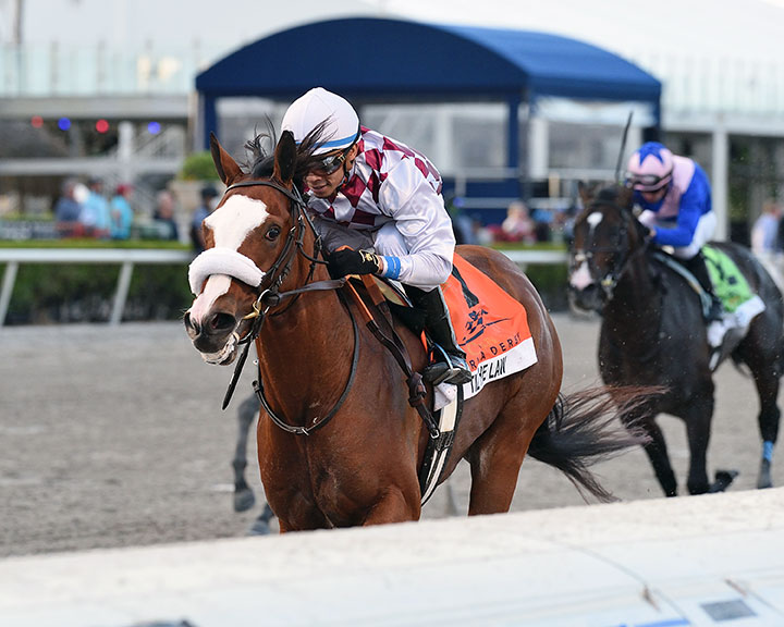Tiz the Law wins the 2020 Florida Derby at Gulfstream Park