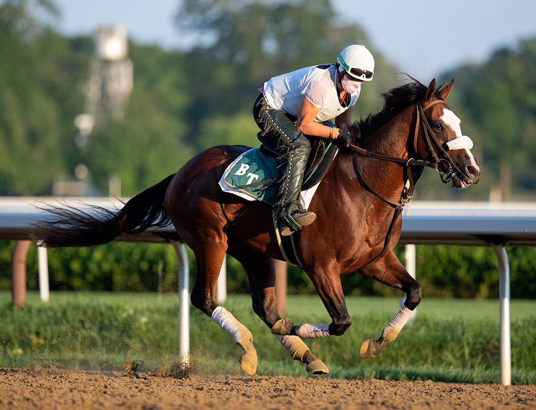 Tiz the Law trains at Saratoga on July 30