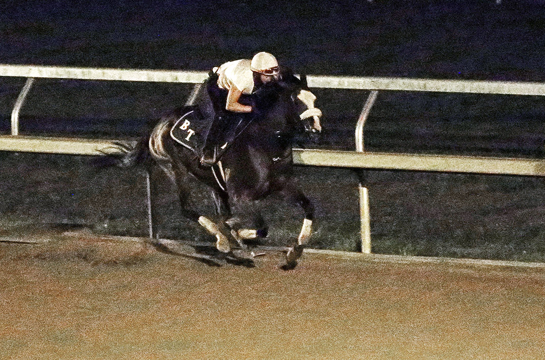 Tiz the Law trains at Keeneland Racecourse on Oct. 23