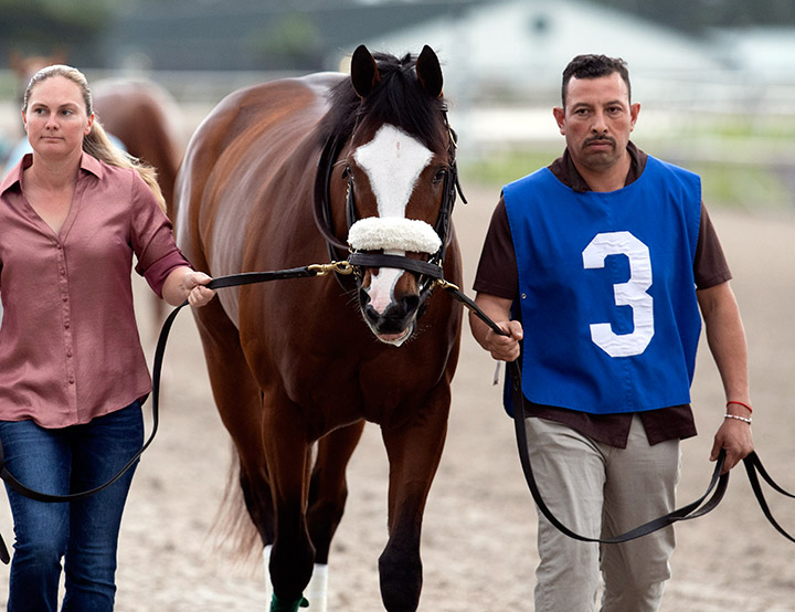 Tiz the Law at Gulfstream Park on Feb. 1
