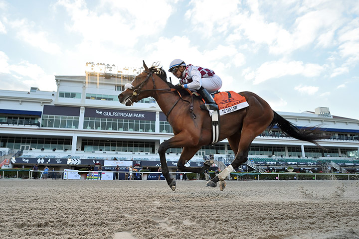 Tiz the Law wins the 2020 Florida Derby at Gulfstream Park