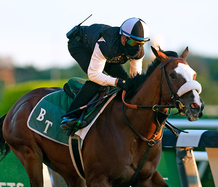 Tiz the Law trains at Belmont Park on June 14
