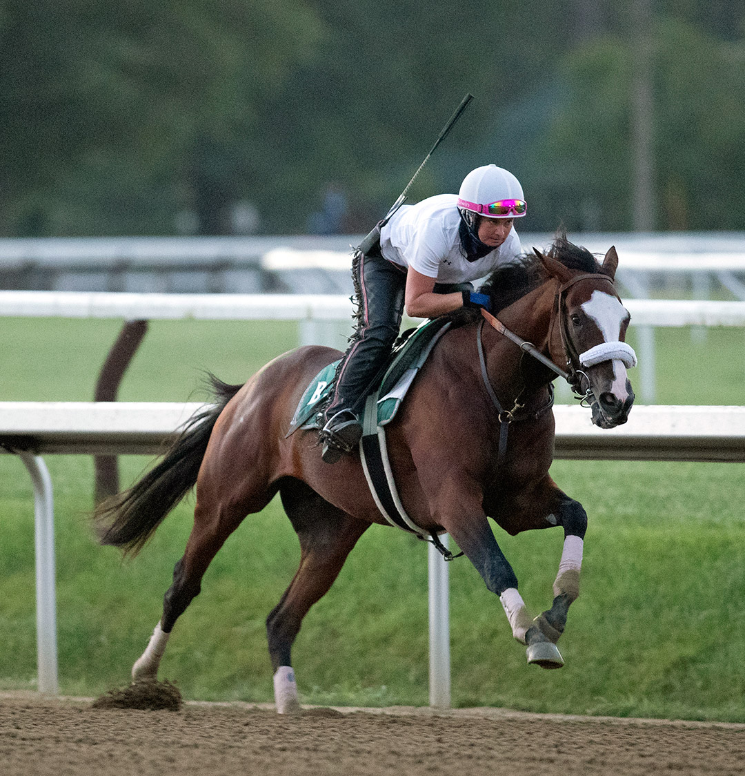 Tiz the Law trains at Saratoga Race Course on Aug. 1
