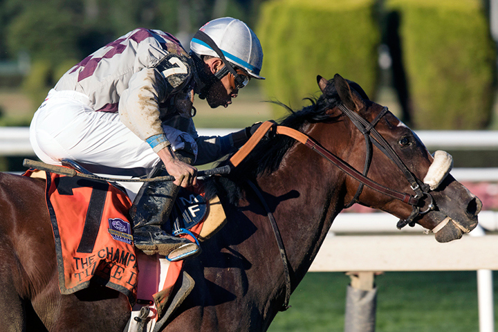 Tiz the Law wins the Champagne Stakes at Belmont Park