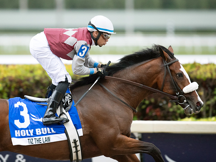 Tiz the Law wins the 2020 Holy Bull Stakes at Gulfstream Park