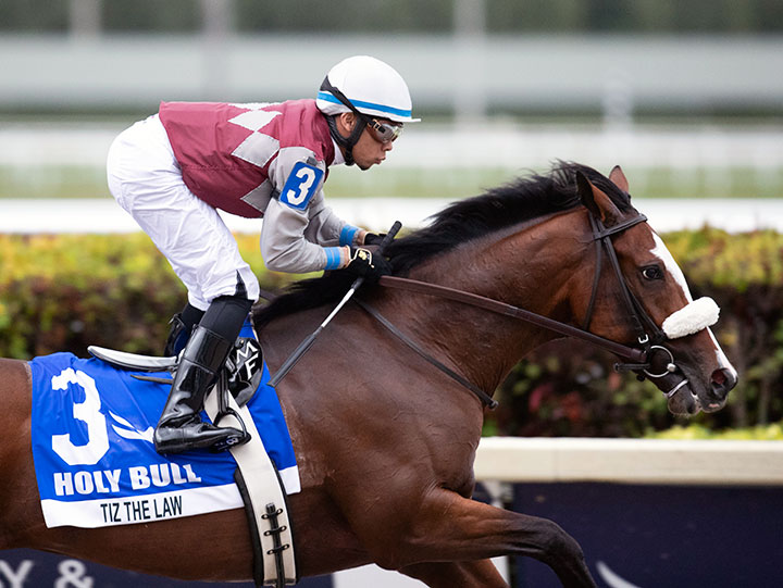 Tiz the Law wins the 2020 Holy Bull Stakes at Gulfstream Park