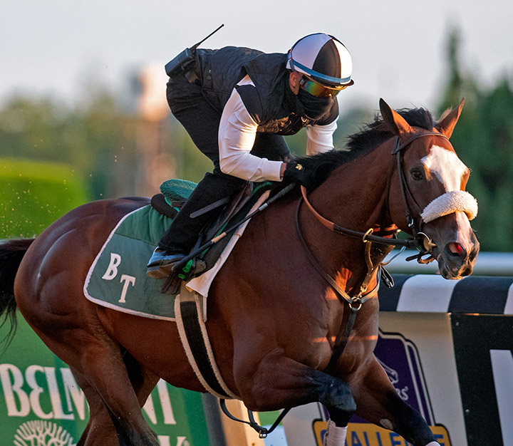 Tiz the Law trains at Belmont Park on June 14