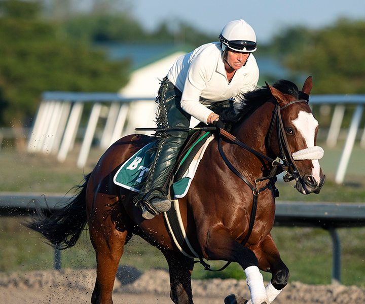 Tiz the Law trains at Palm Meadows on Jan. 29