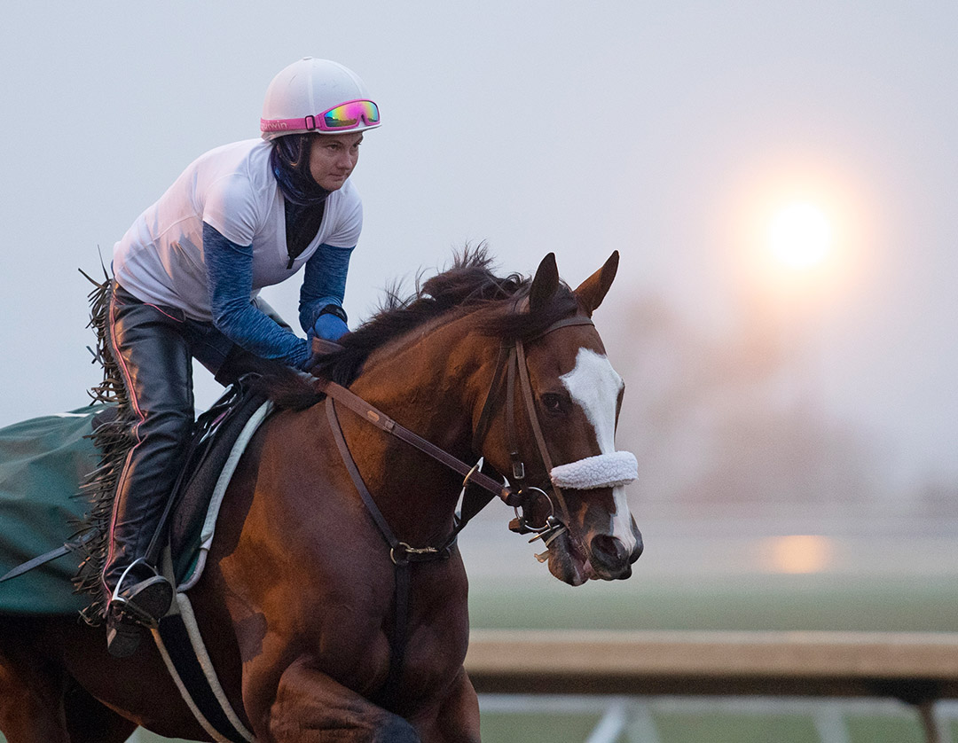 Tiz the Law trains at Keeneland Racecourse on Oct. 28