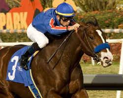 Tiz Chrome