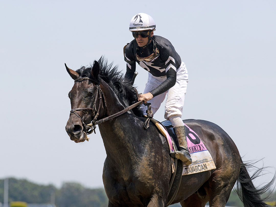 Tizamagician finishes second in the 2021 Brooklyn Stake at Belmont Park