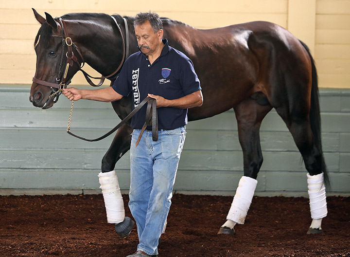 Tizamagician at Santa Anita Park in March 2020