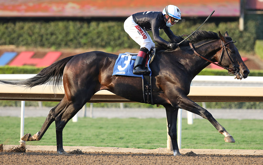Tizamagician finishes second in the Tokyo City Cup at Santa Anita