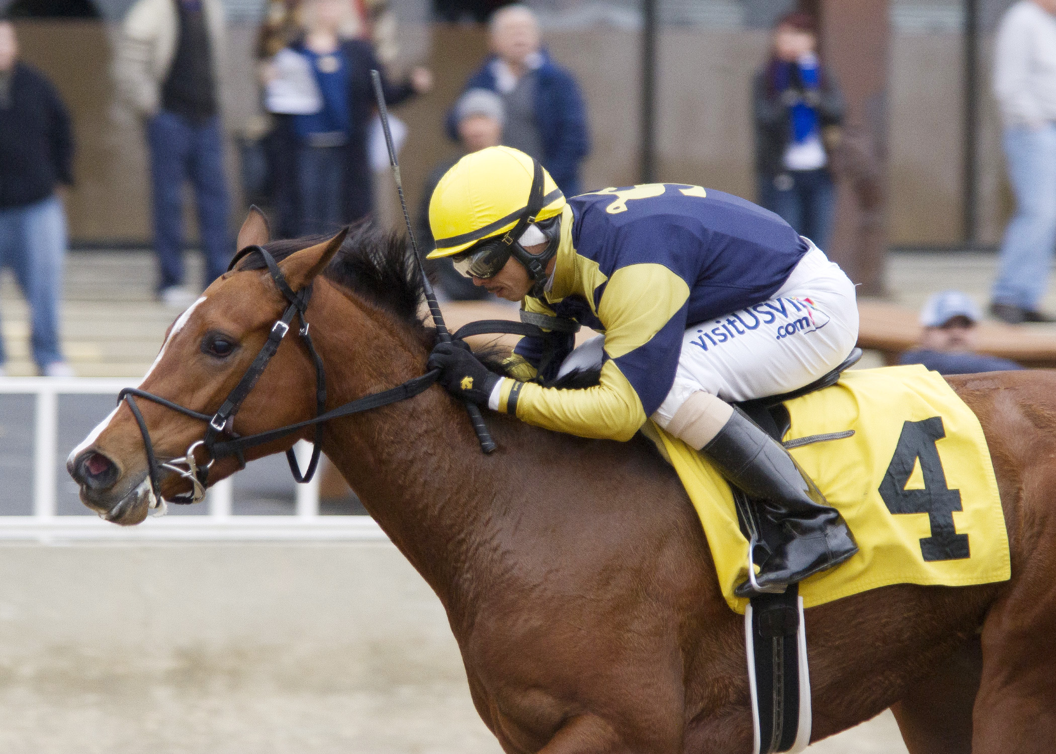 Tizgorgeous wins the Pat Whitworth Illinois Debutante
