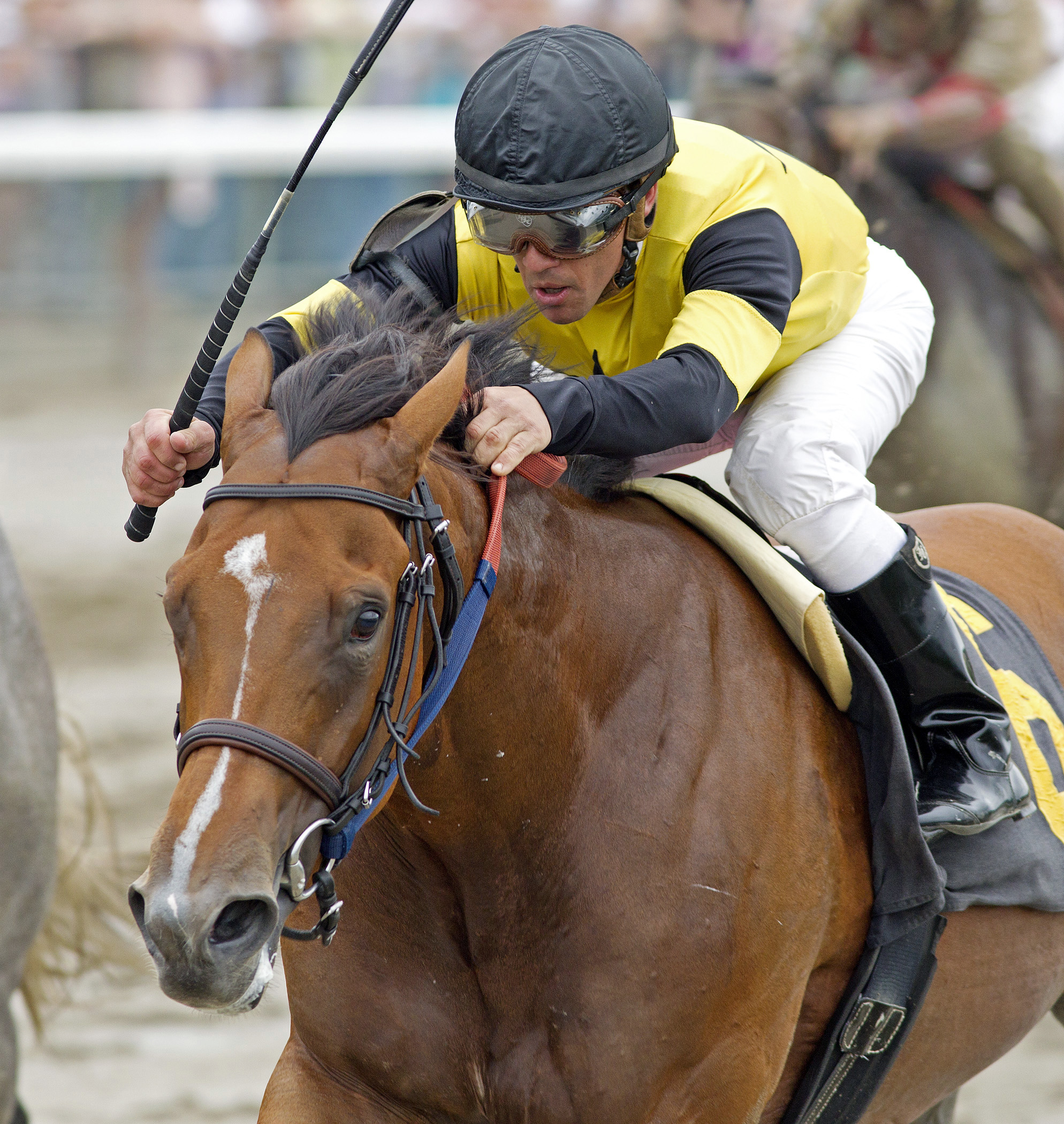 Tiznowforamerica wins a maiden