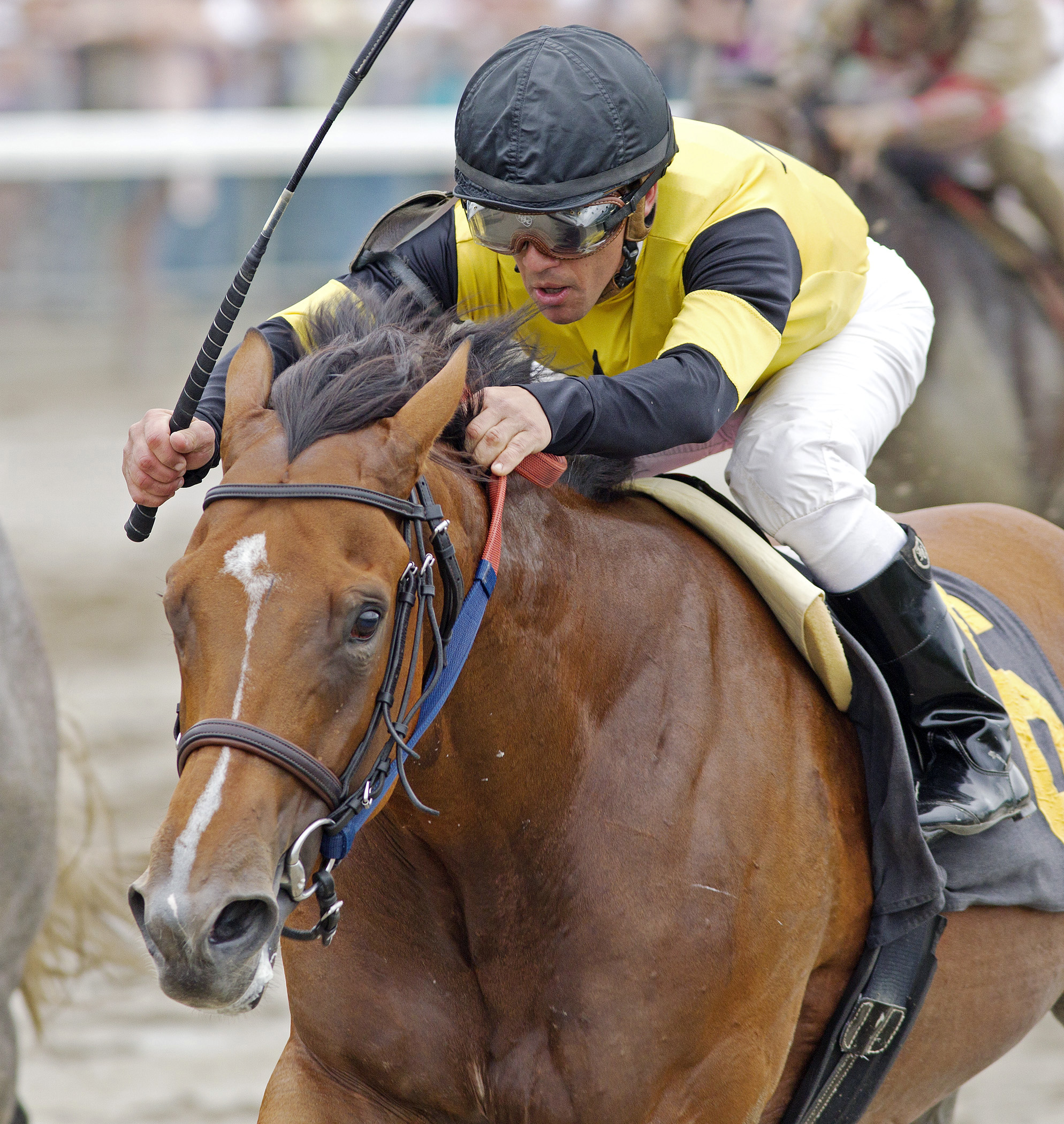 Tiznowforamerica wins a maiden race in 2013
