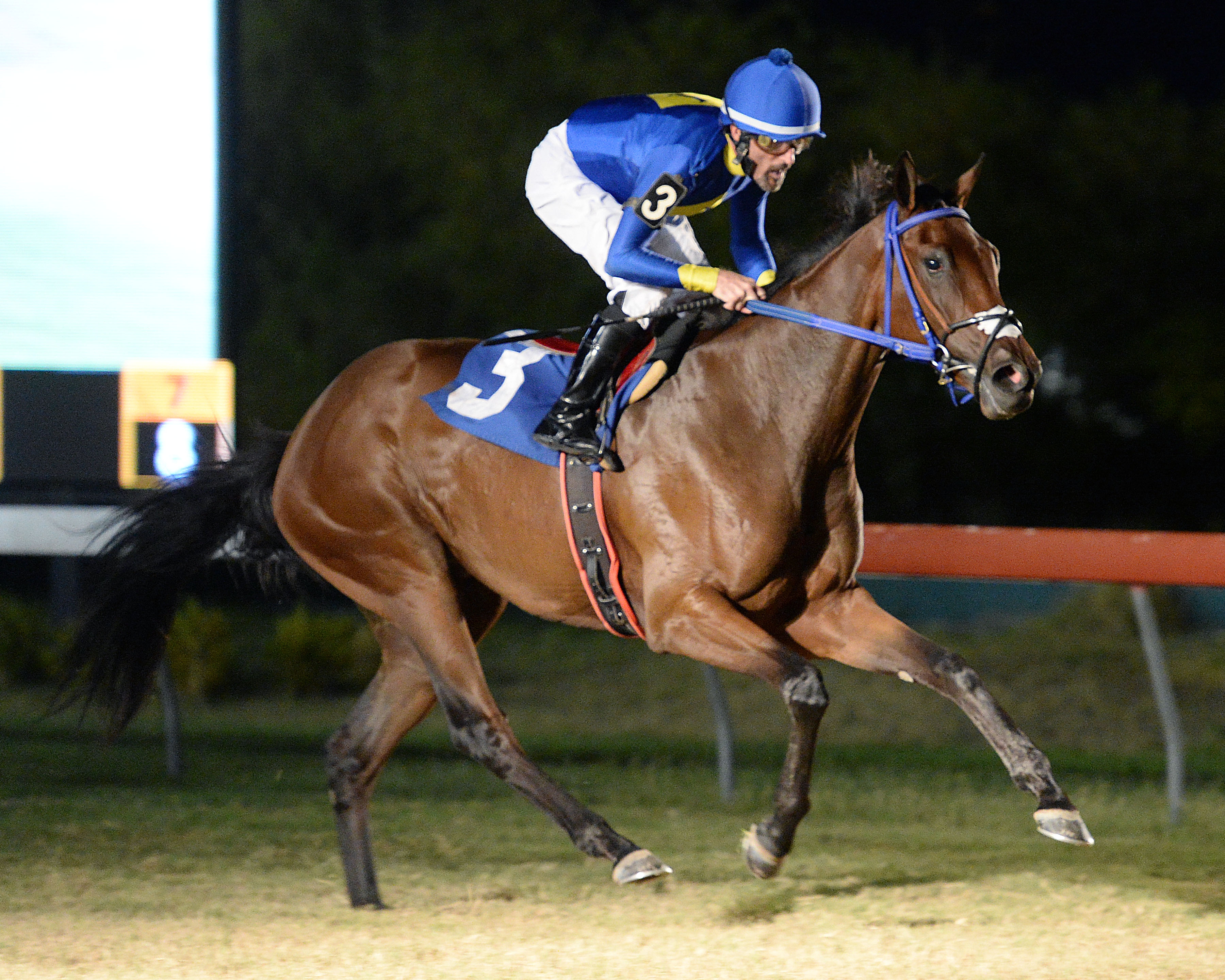 Tizsfranderella wins the 2019 La Senorita Stakes
