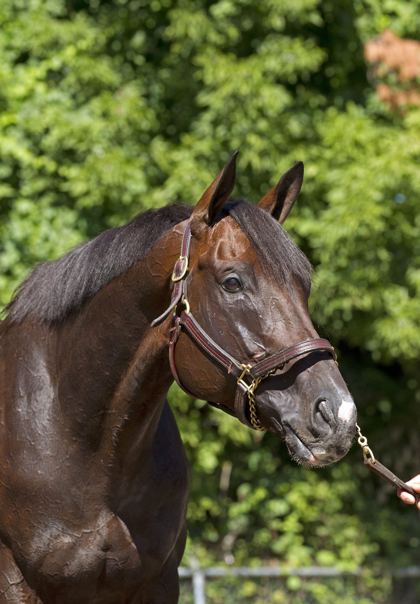 Tizway in 2011