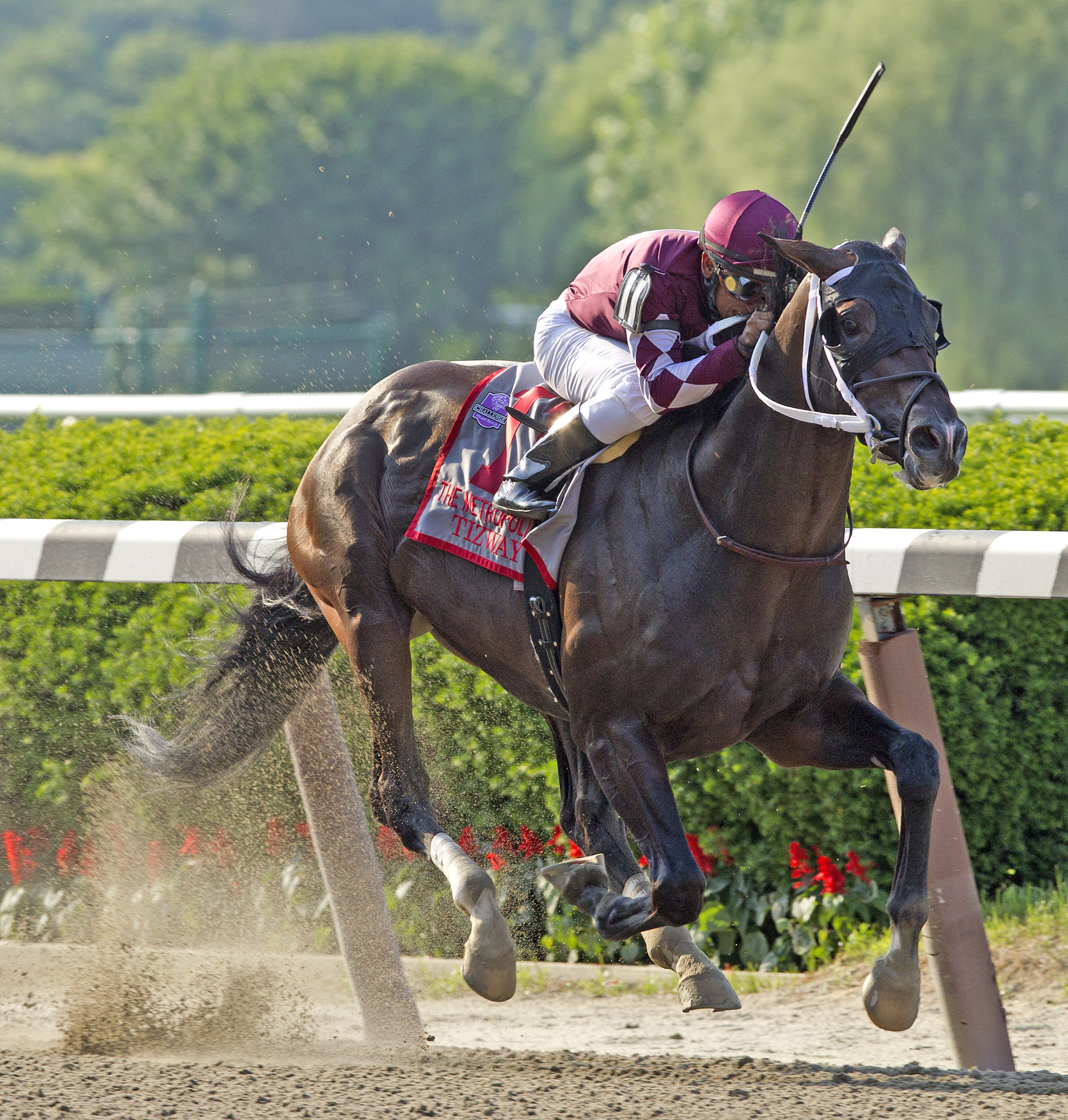 Tizway/Met Mile
