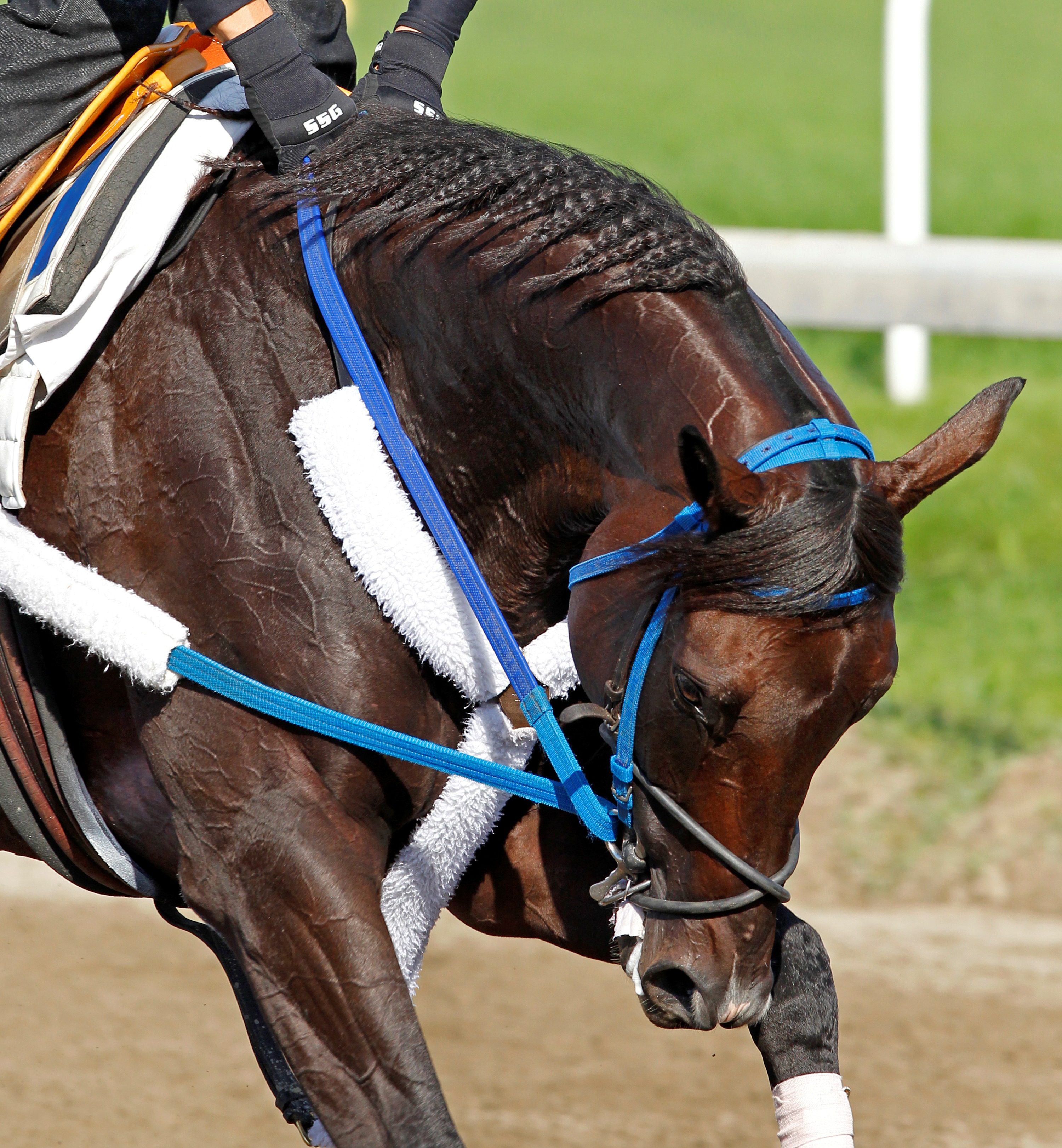 Tizway, Sept. 26, 2011