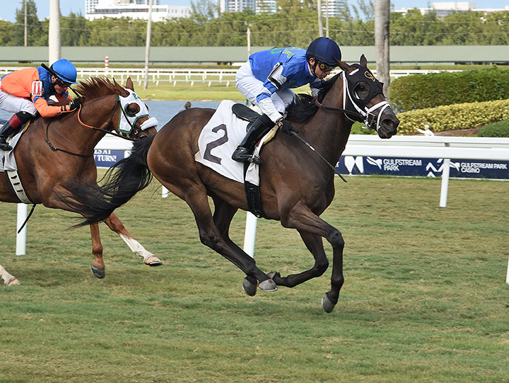 Tizzarunner wins an April 23 allowance race at Gulfstream Park