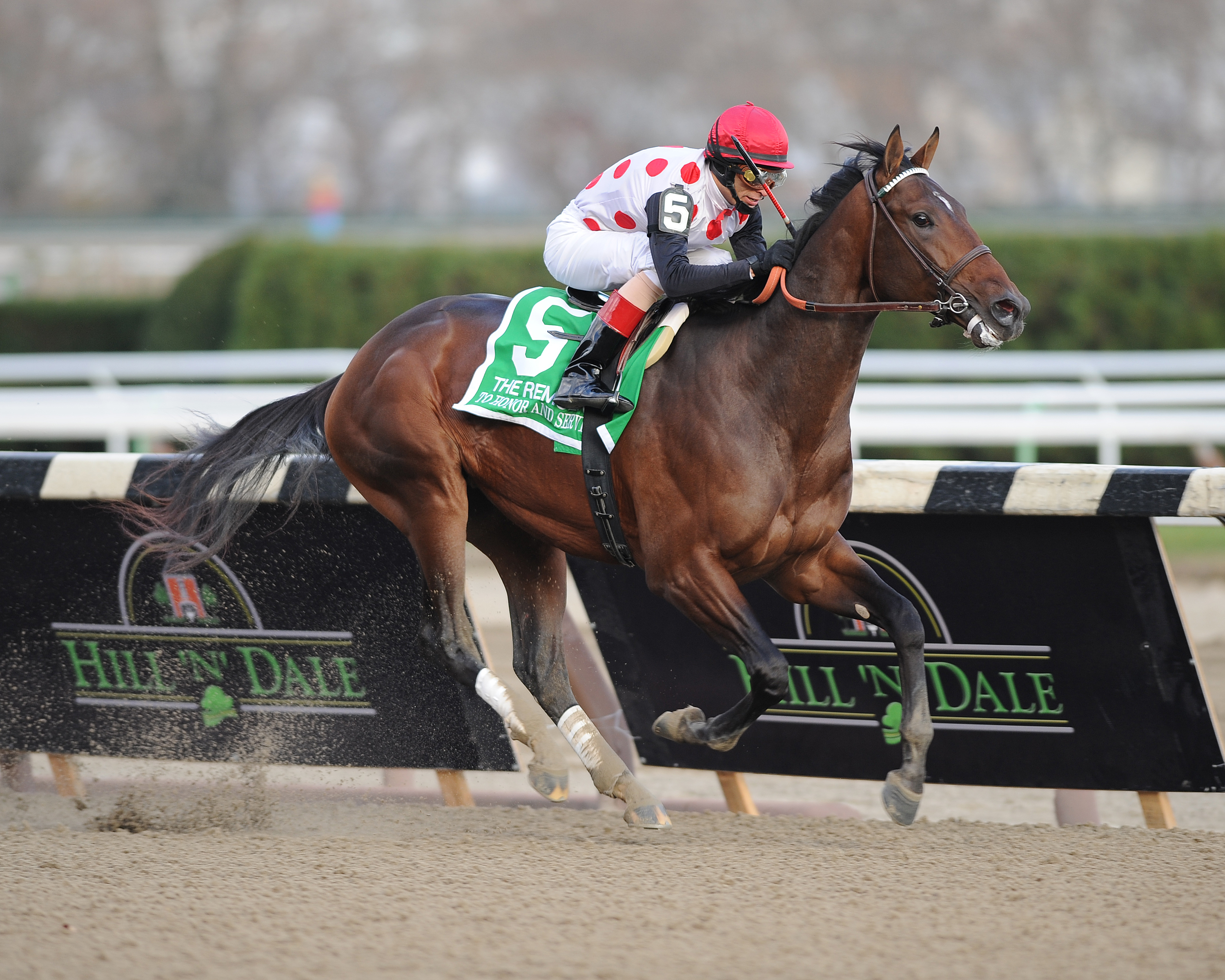 To Honor and Serve/Remsen