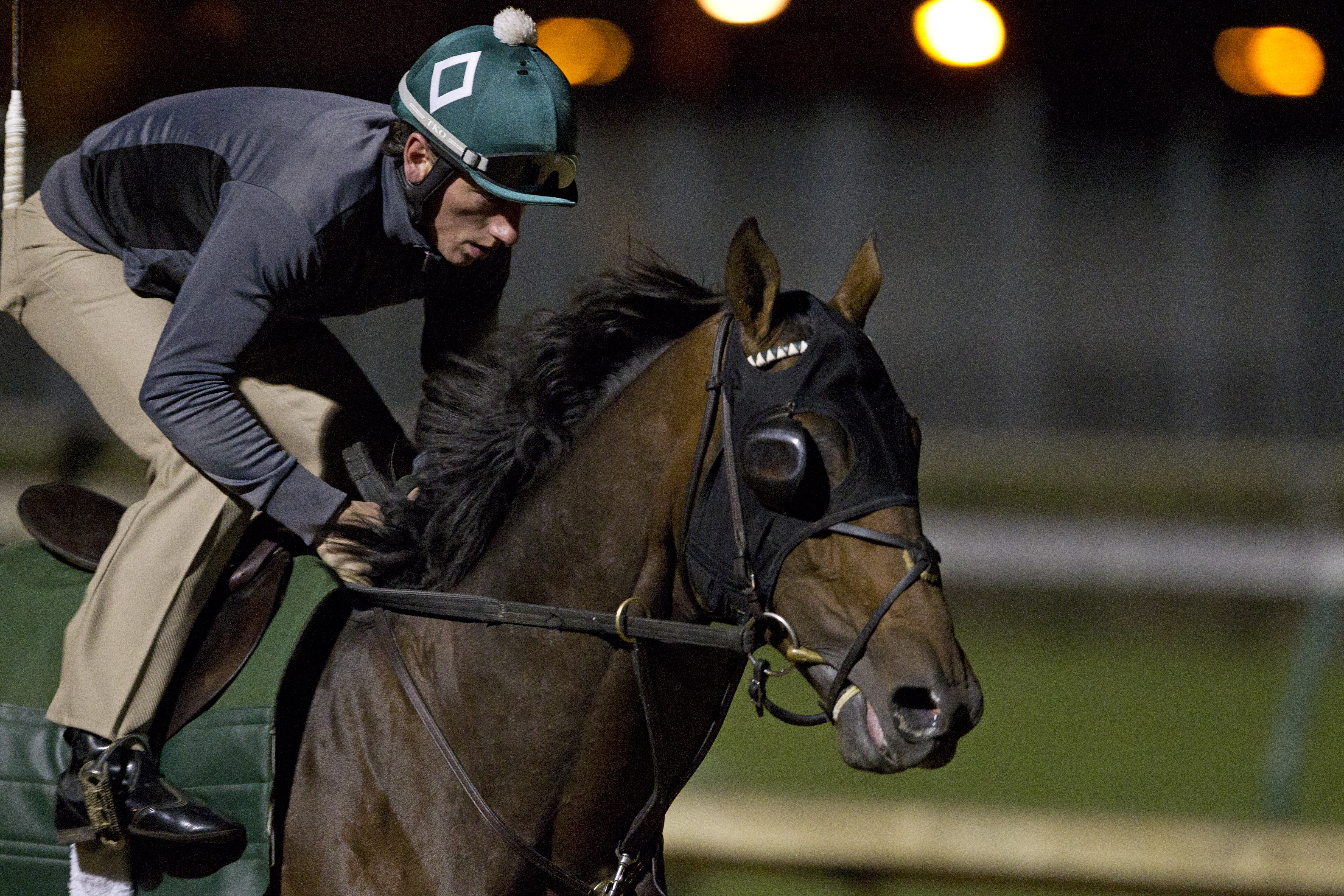 To Honor and Serve/blinkers