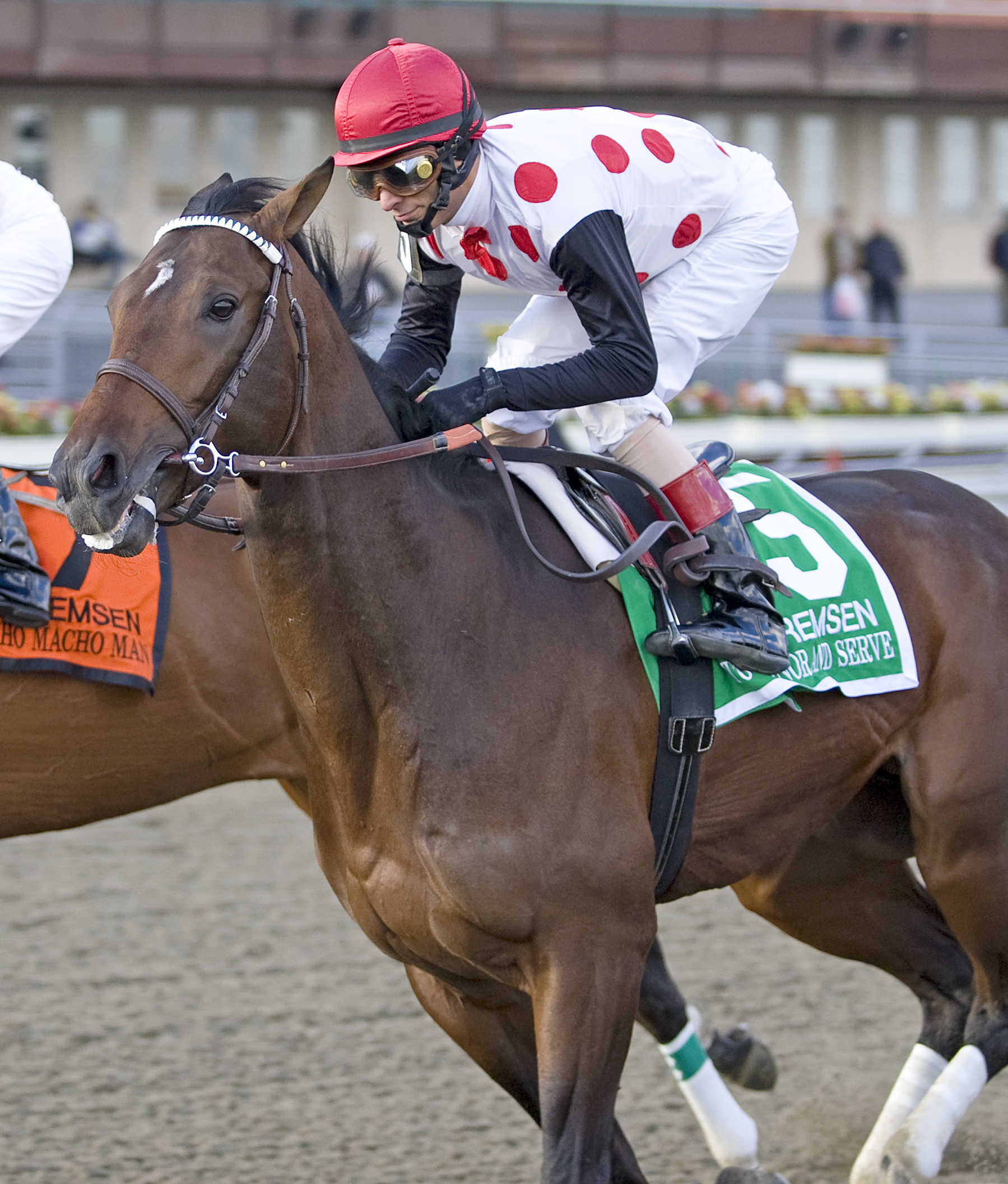 To Honor and Serve/Remsen