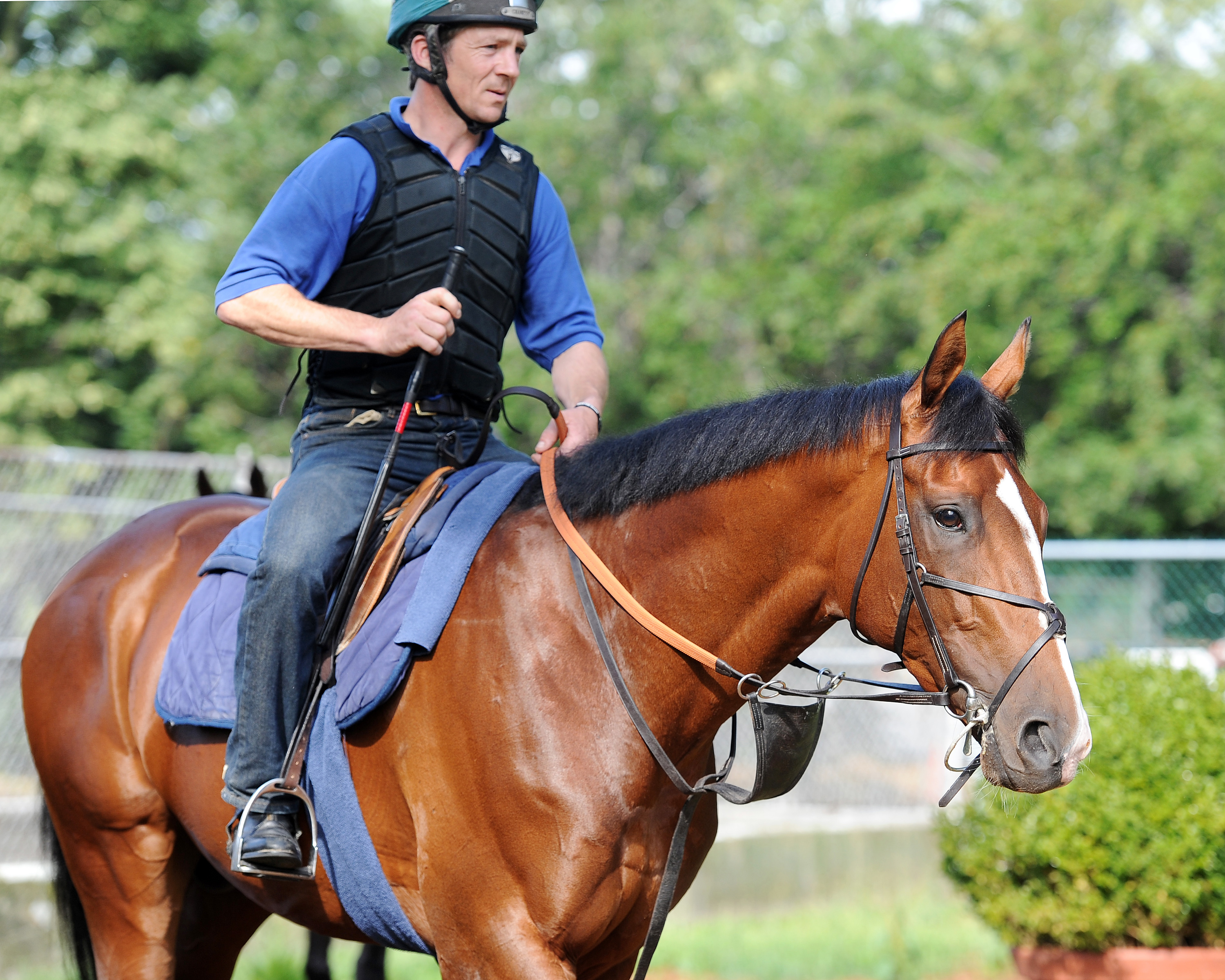 Toast of New York at Belmont on July 3