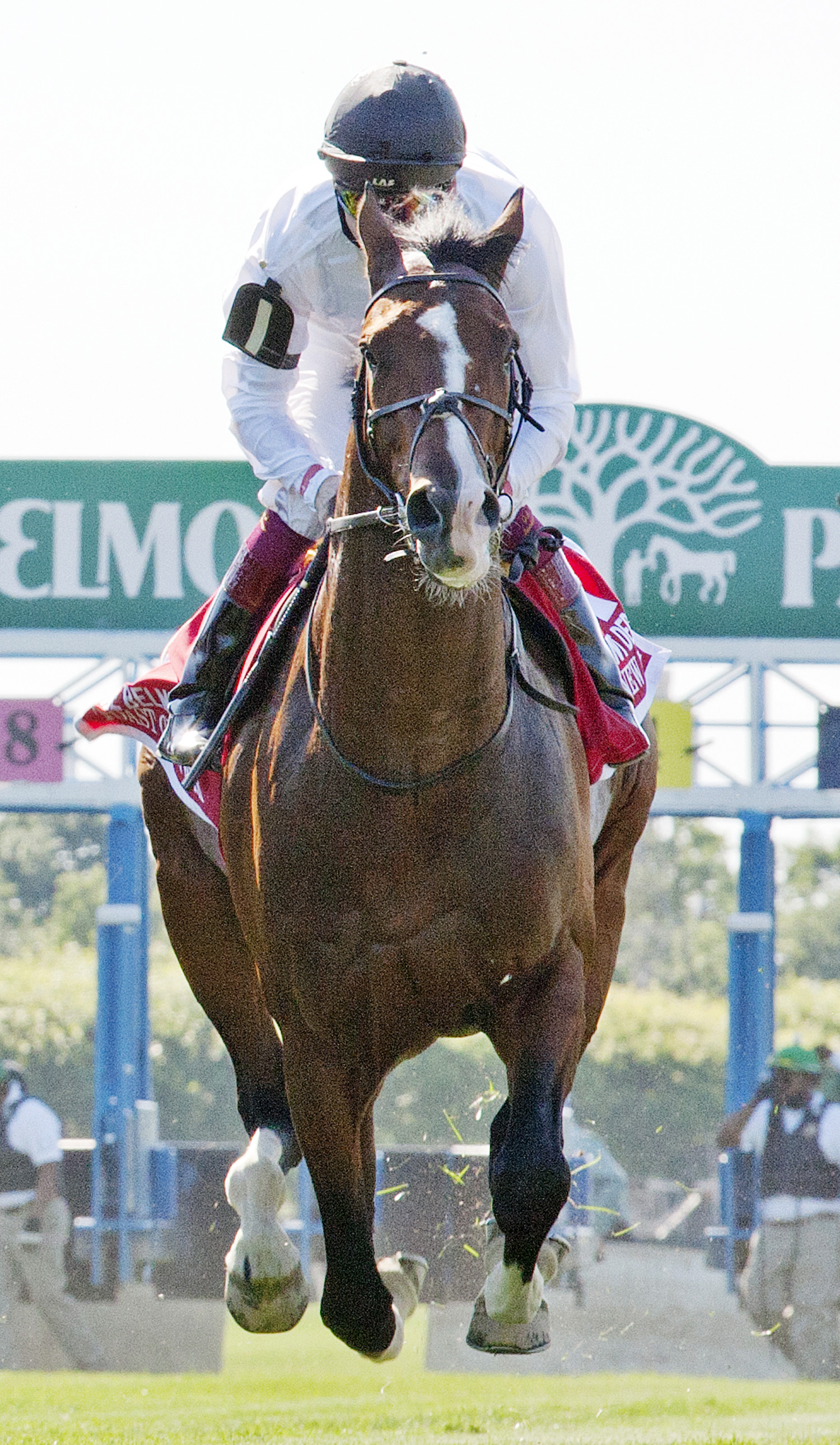Toast of New York finishes sixth in the Belmont Derby