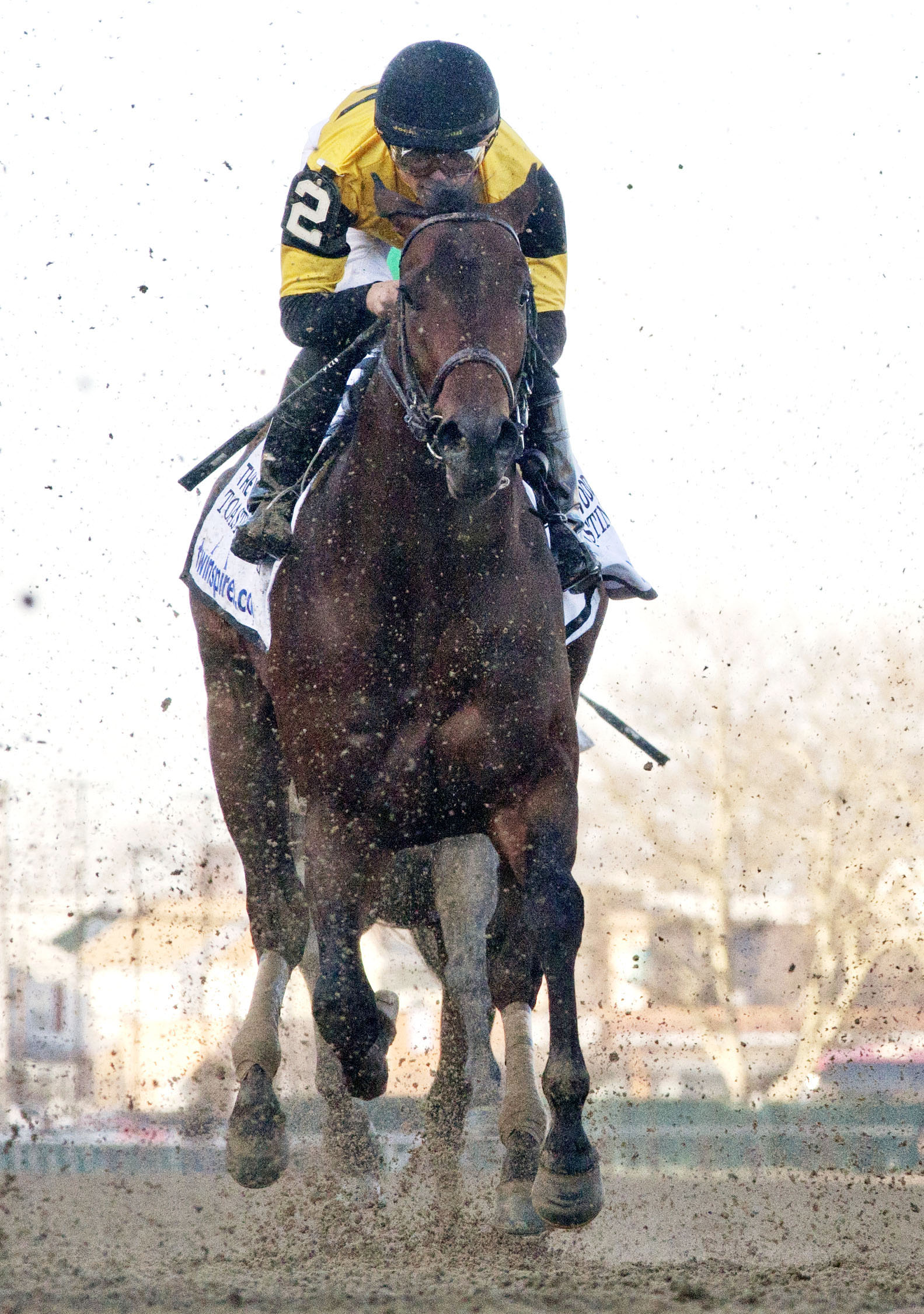 Toasting Master finishes sixth in the 2015 Wood Memorial