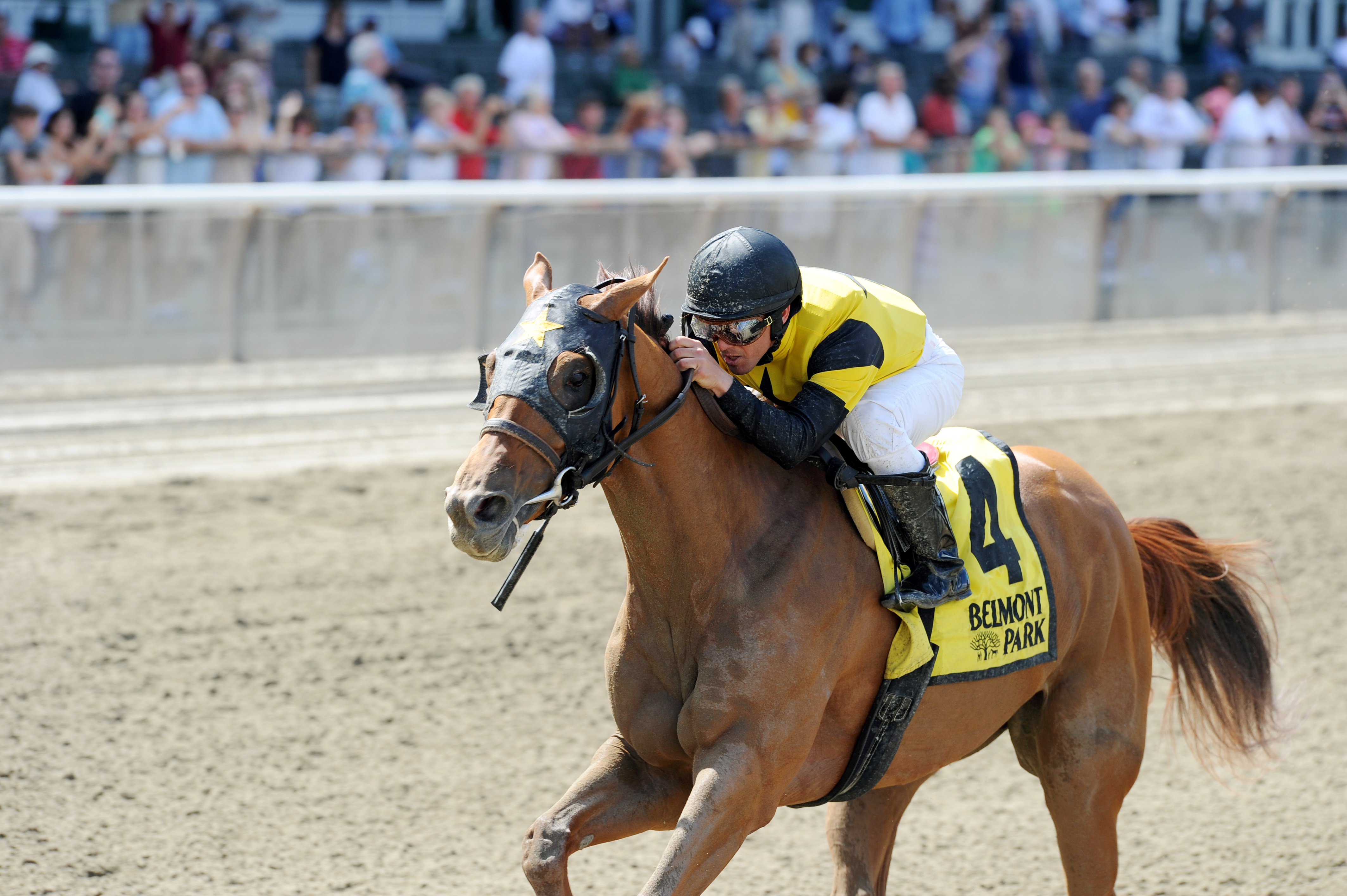 Toasting wins the Sky Beauty