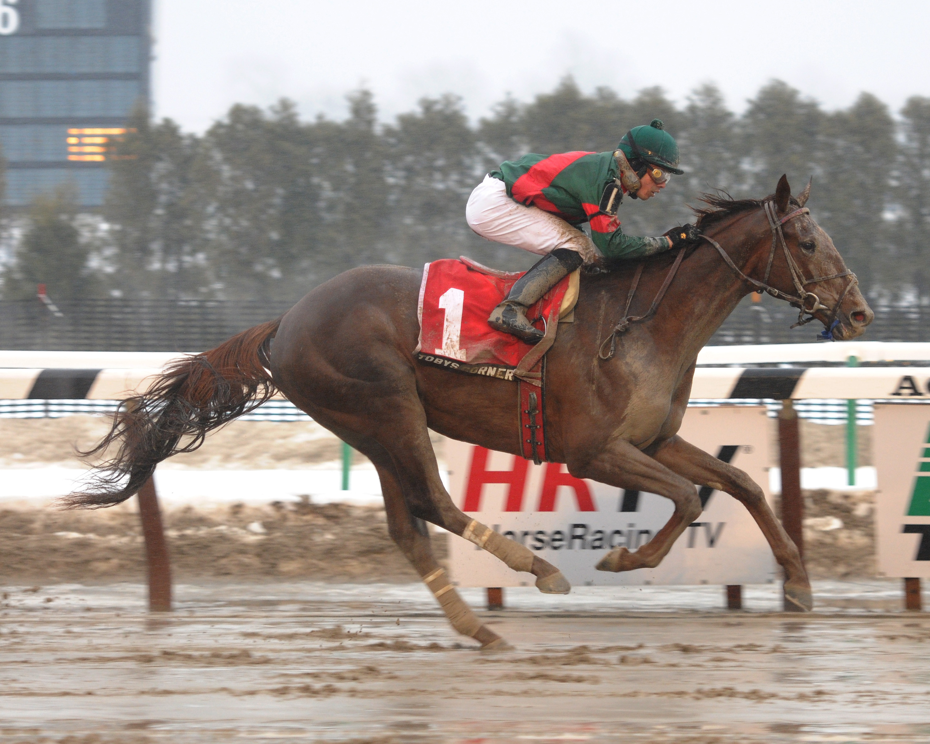 Toby's Corner wins Whirlaway