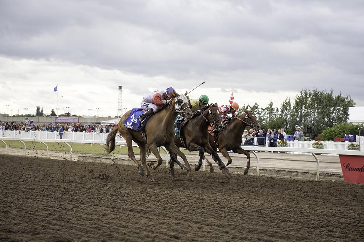 Northlands Park dirt racing
