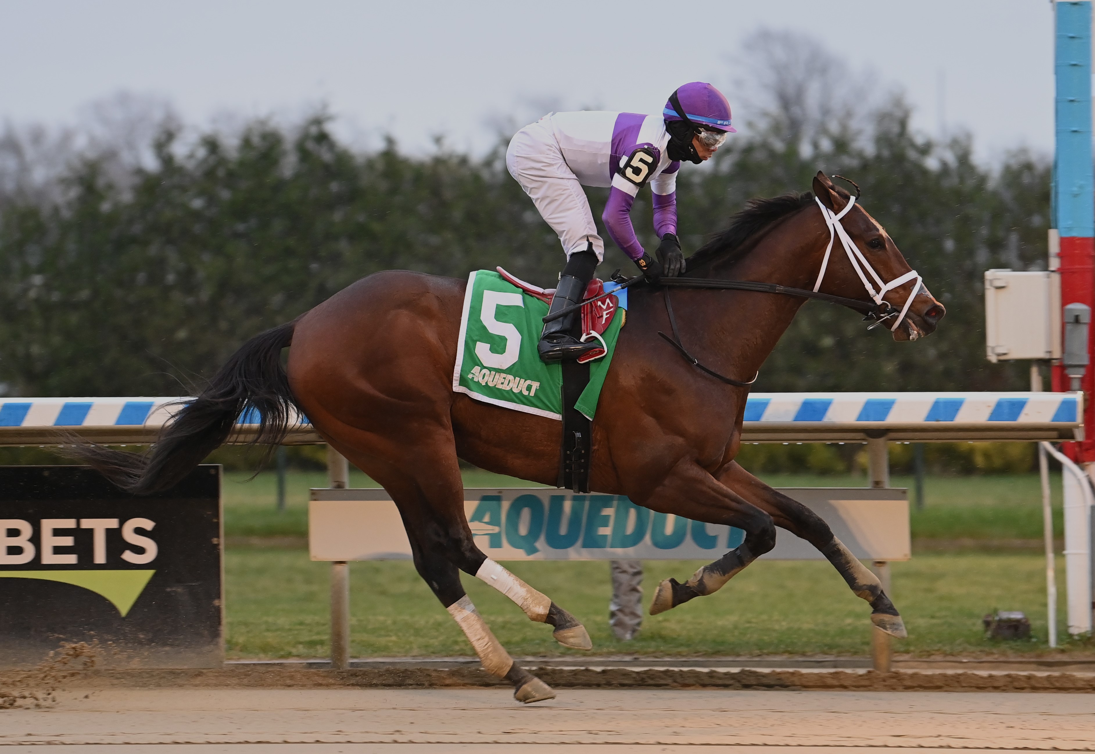 Today's Flavor win Aqueduct allowance Dec 11 2022