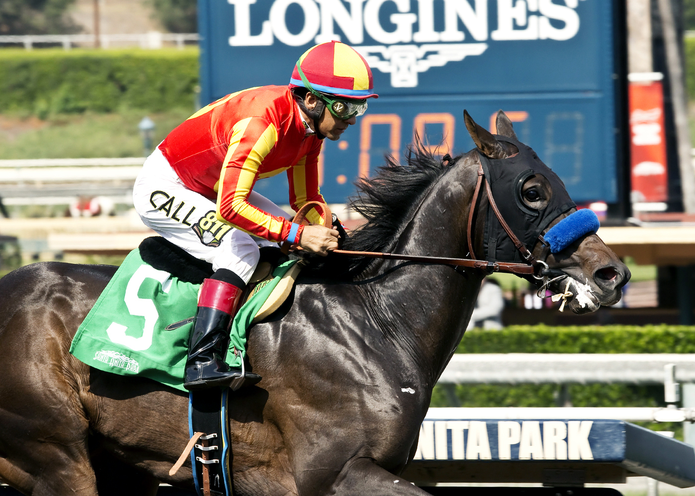 Toews On Ice wins the Speakeasy Stakes