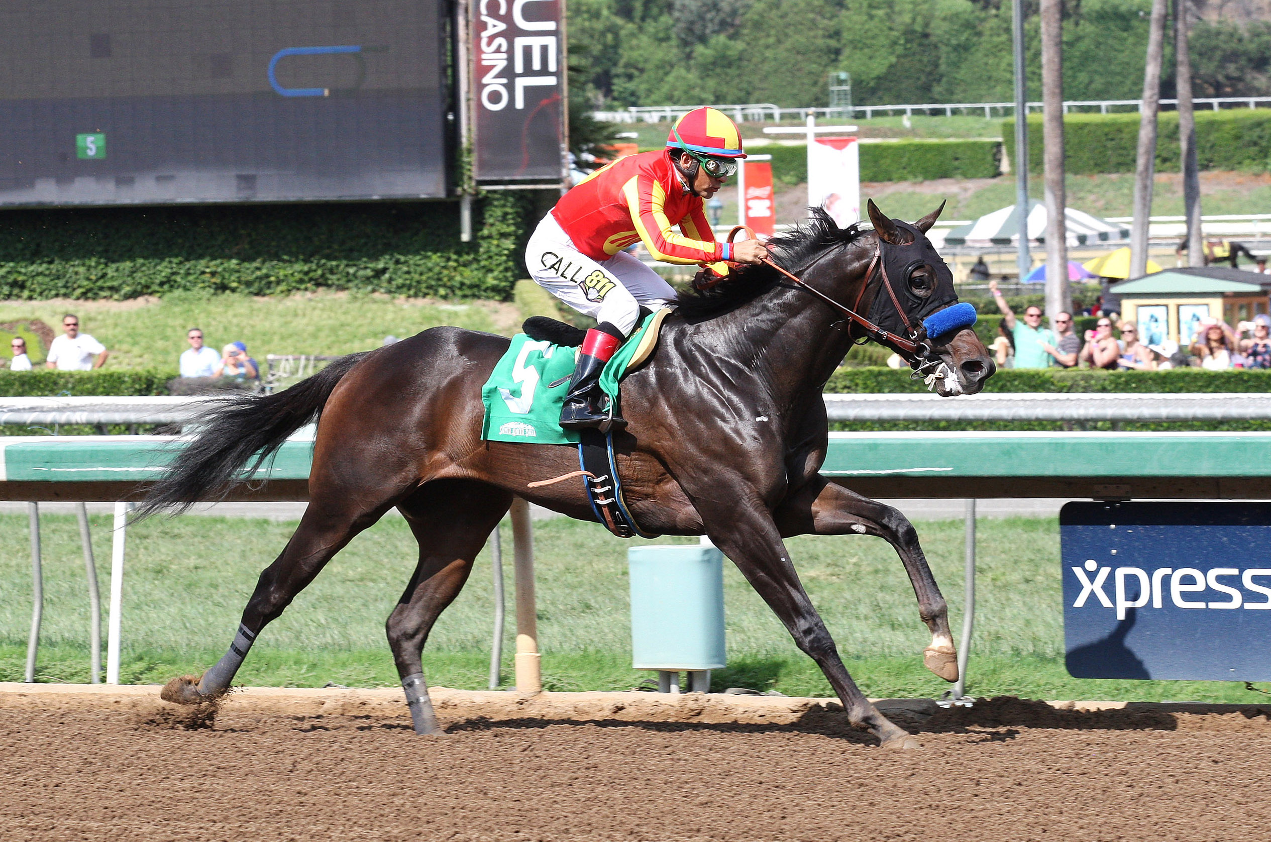 Toews On Ice wins the Speakeasy Stakes