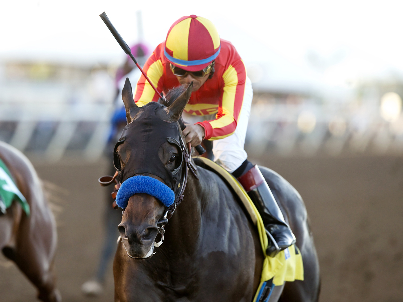 Toews on Ice wins the Bob Hope Stakes