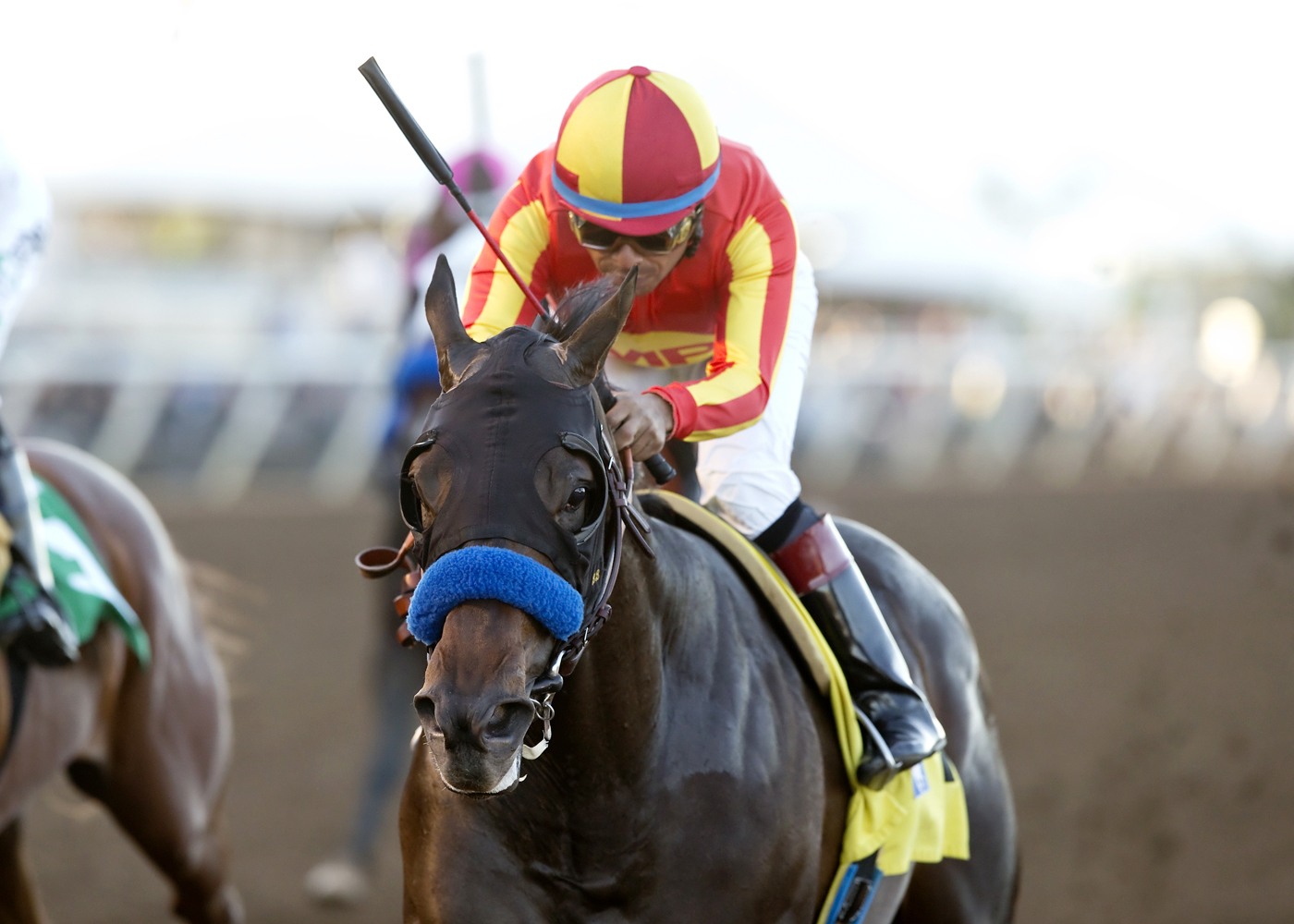 Toews On Ice wins the Bob Hope Stakes