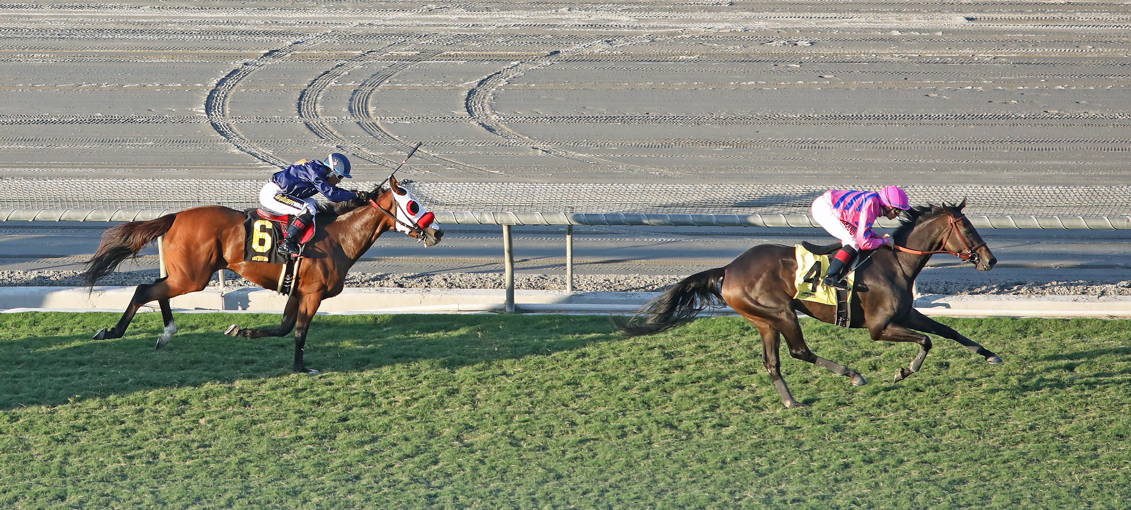 Toinette wins the 2019 Swingtime Stakes