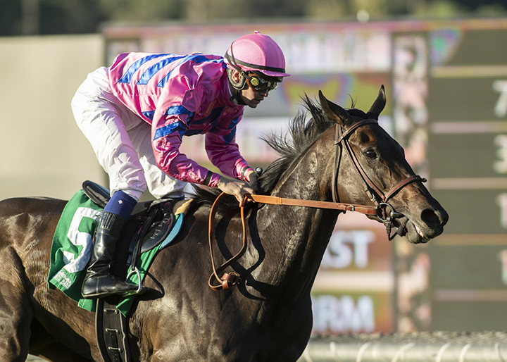 Toinette wins the 2018 Autumn Miss Stakes at Santa Anita
