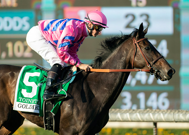 Toinette wins the 2019 Goldikova Stakes at Santa Anita Park
