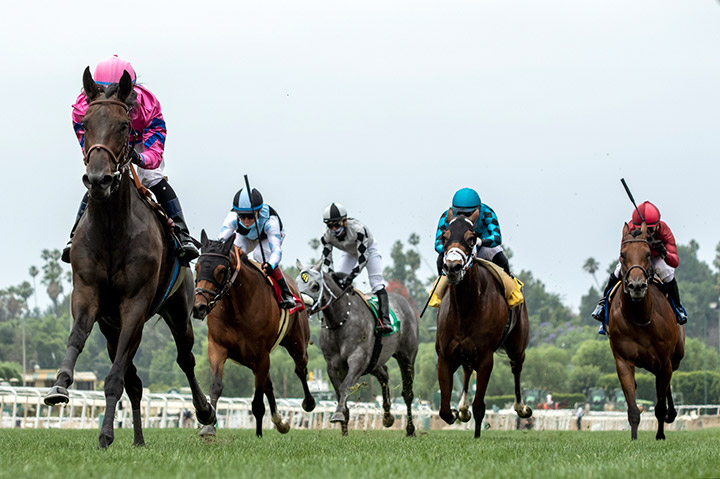 Toinette wins the 2020 Wilshire Stakes at Santa Anita Park