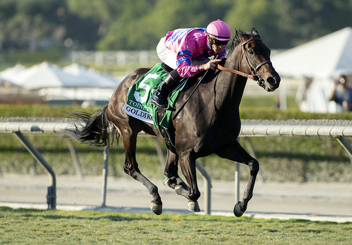 Toinette wins the 2019 Goldikova Stakes at Santa Anita Park