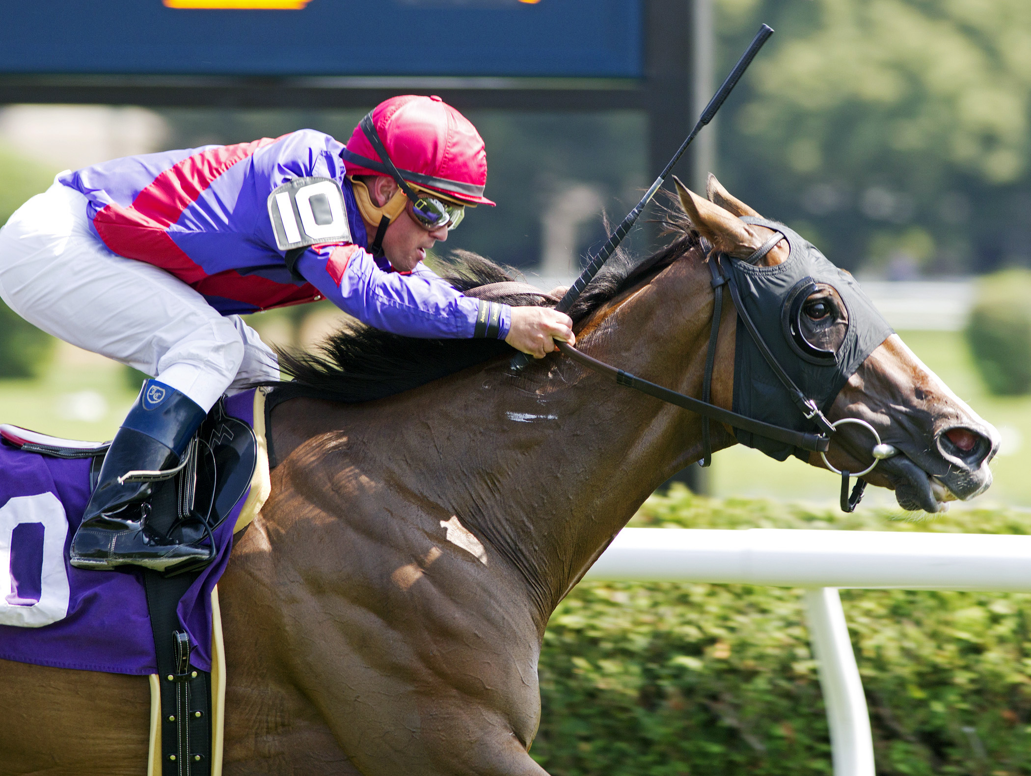 Tokyo Time wins an allowance race
