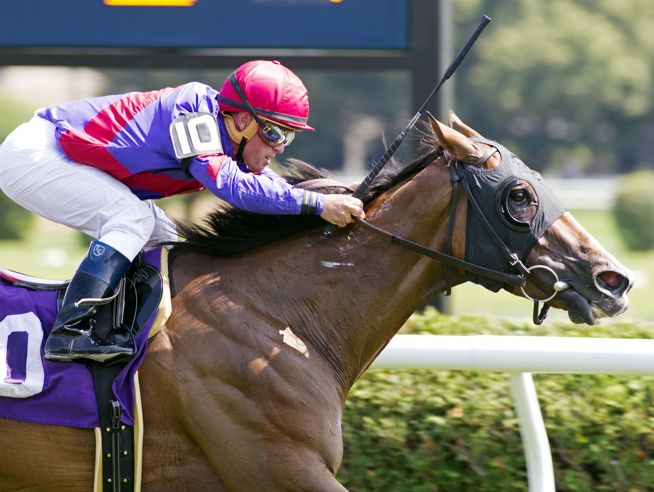 Tokyo Time wins an allowance race
