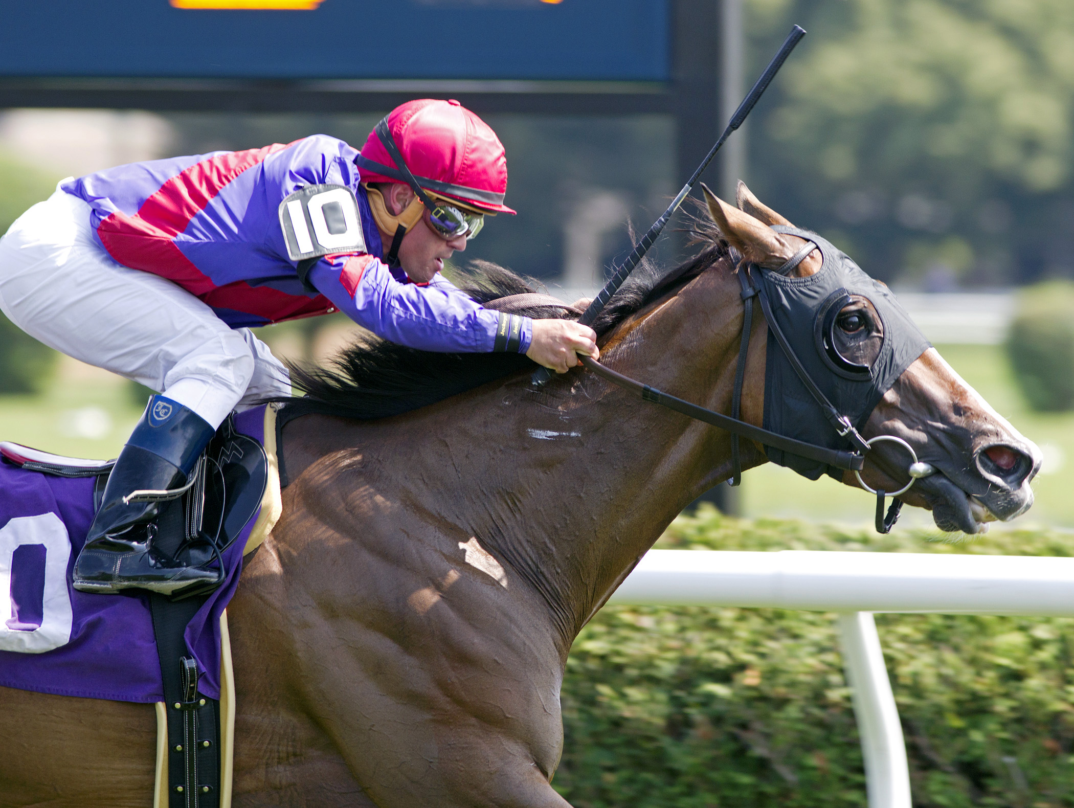 Tokyo Time wins an allowance race