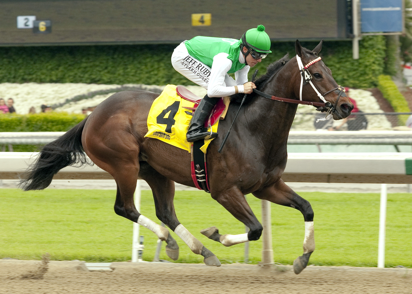 Toledo Eddie wins an optional claimer