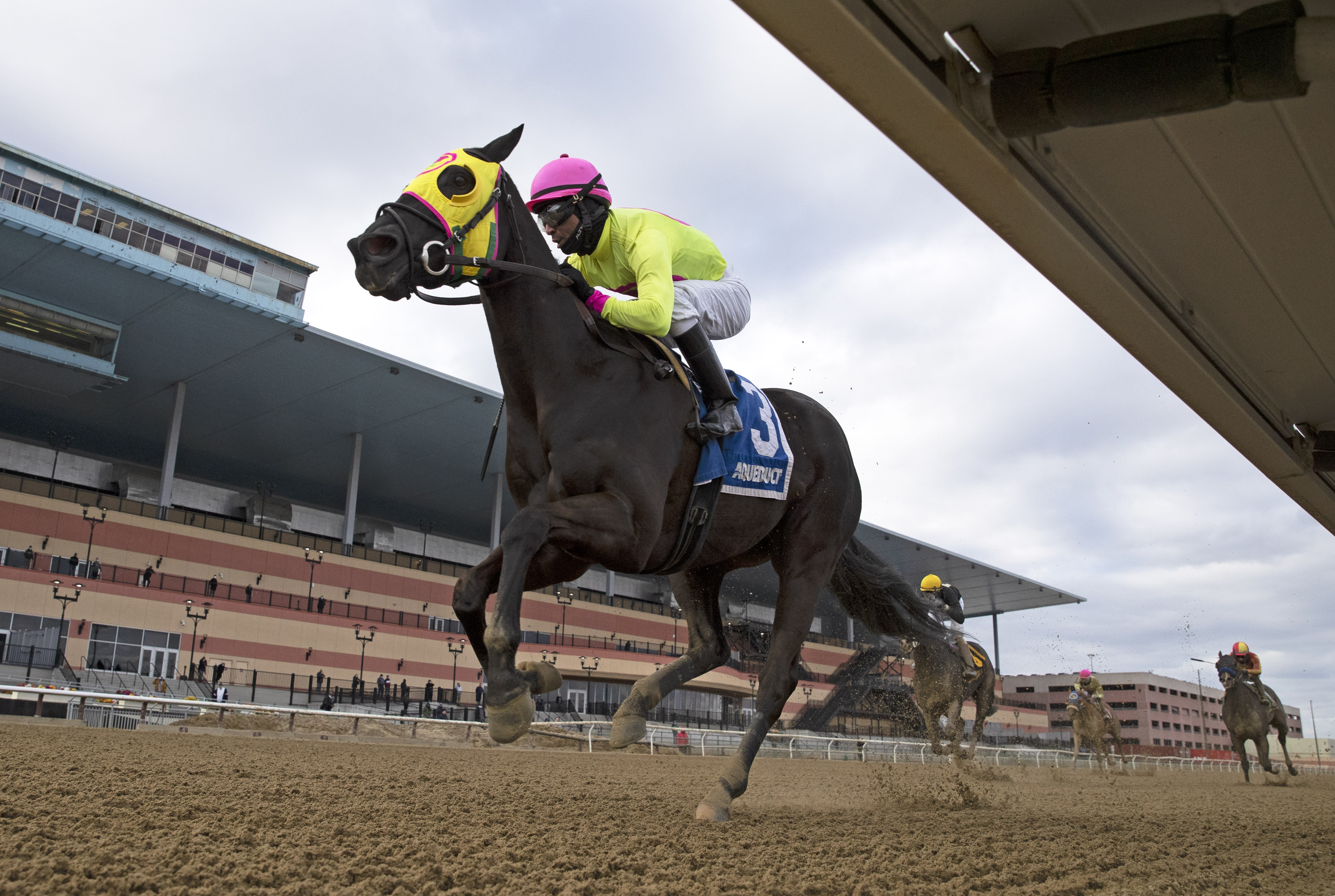 Chateau wins Tom Fool 3-6-2021