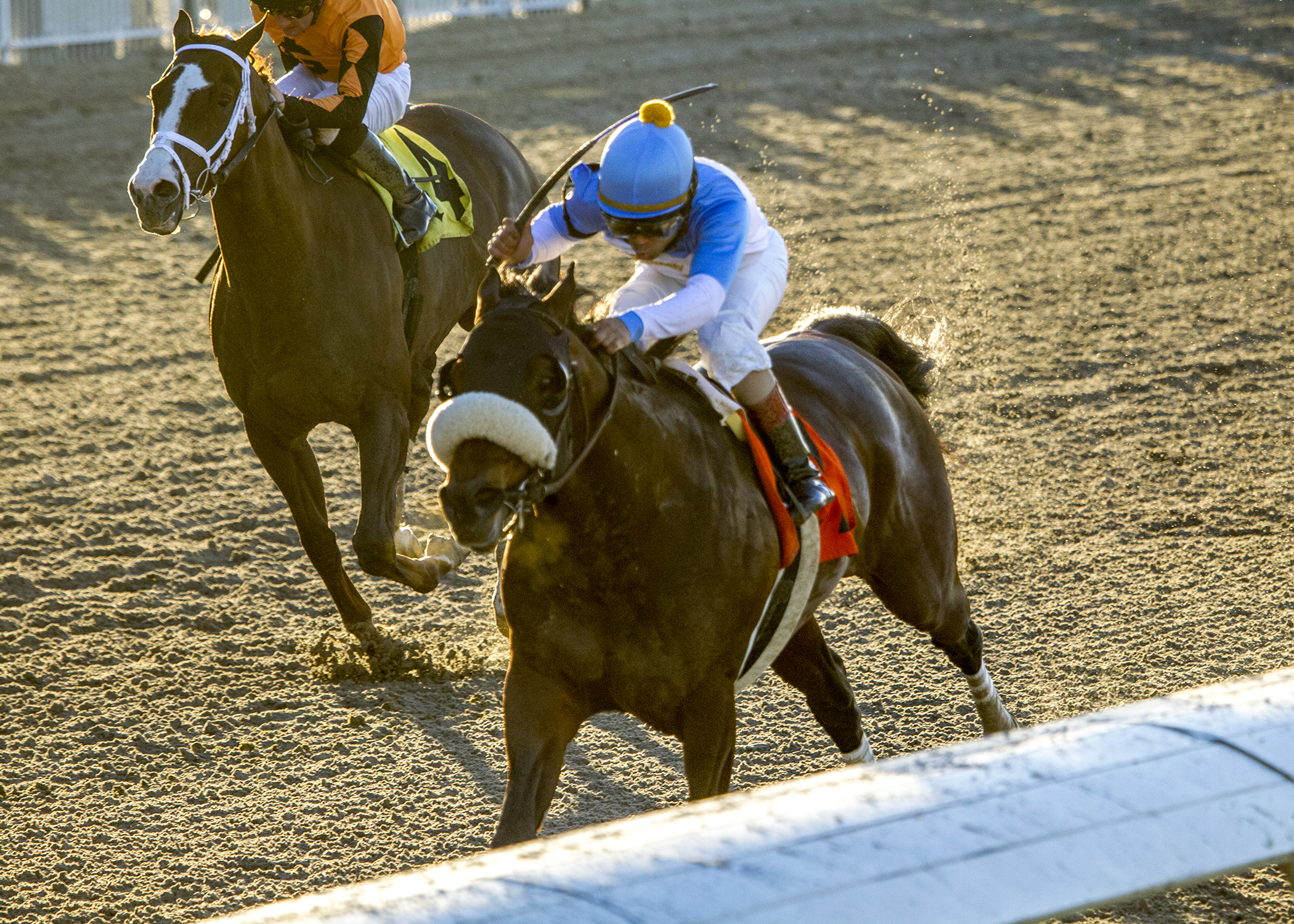 Tom's d'Etat wins 2018 Tenacious Stakes